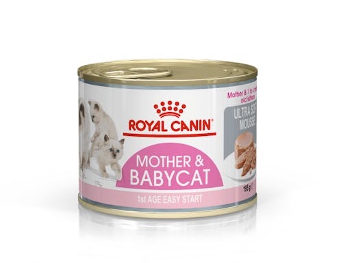 غذای کنسرو بچه گربه و مادر رویال کنین مدل مادر اند بیبی royal canin mother and baby