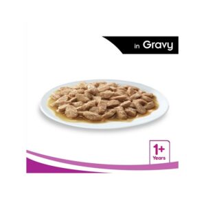 پوچ گربه خورشتی Gravy