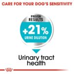 غذای خشک سگ رویال کنین مدل یورینری Royal Canin Urinary Care - بیماری کلیه سگ - درمان مشکلات کلیوی سگ - مشکلات ادراری سگ