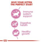 غذای خشک بچه گربه رویال کنین مدل کیتن Kitten