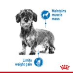 غذای خشک سگ رویال کنین مدل لایت ویت Royal Canin Light Weight Care