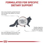 غذای خشک گربه رویال کنین مدل گاسترو اینتستینال فیبر GastroIntestinal Fiber Response