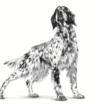 غذای خشک سگ رویال کنین مدل کاردیاک Cardiac - درمان بیماری قلبی سگ