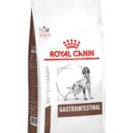 غذای خشک سگ رویال کنین مدل گسترو اینتستینال GastroIntestinal